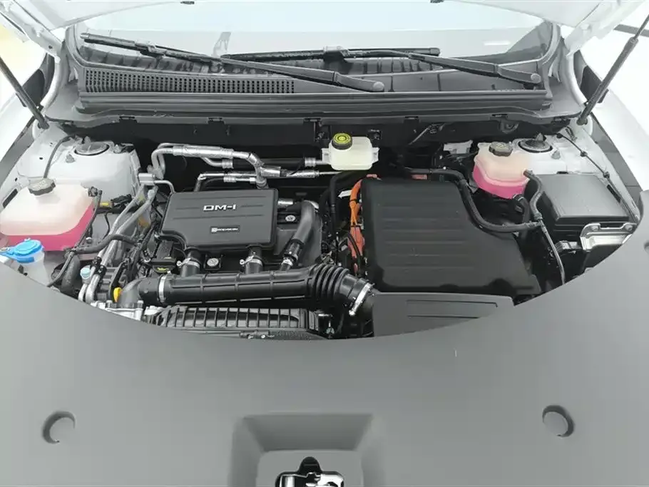 BYD Pro New Energy — фото 10