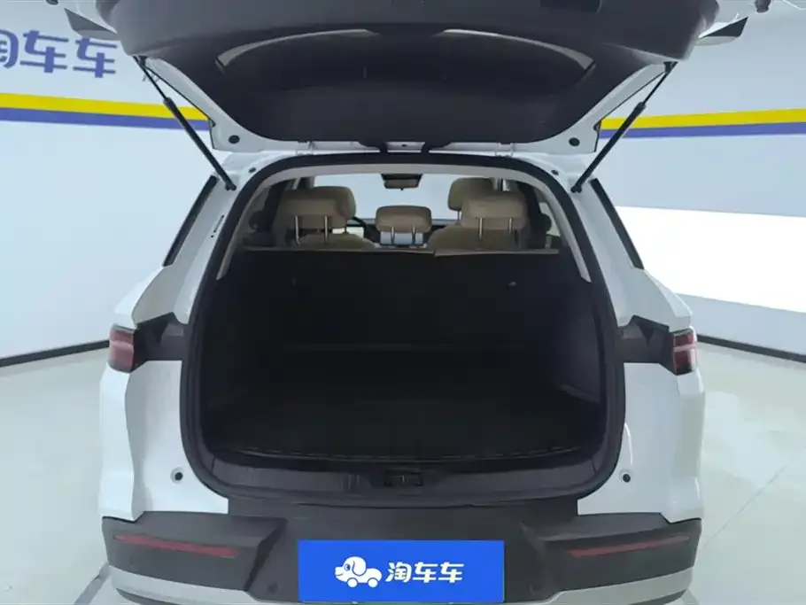BYD Pro New Energy — фото 4