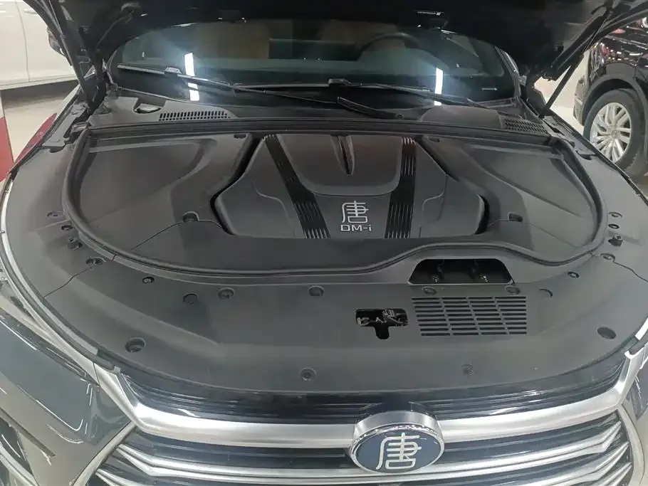 BYD Tang New Energy 2023 из CN, фото 6