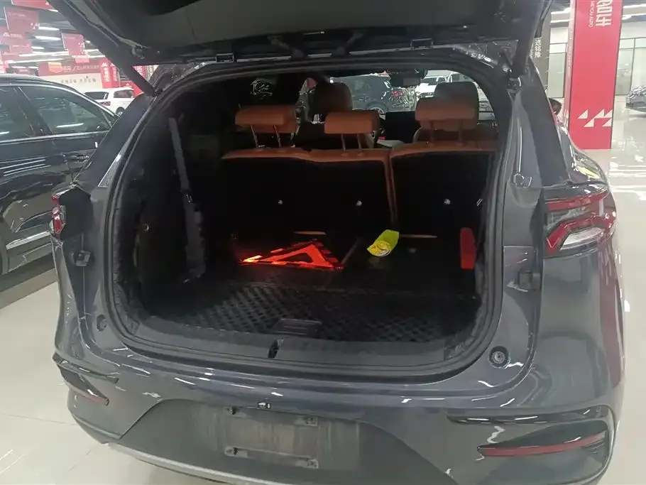 BYD Tang New Energy 2023 из CN, фото 2