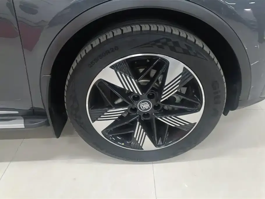 BYD Tang New Energy 2023 из CN, фото 4