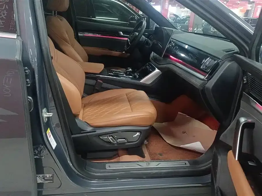BYD Tang New Energy 2023 из CN, фото 5