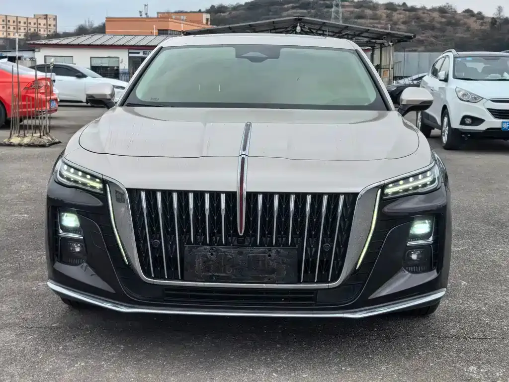 Hongqi H5 2022 из CN, фото 1
