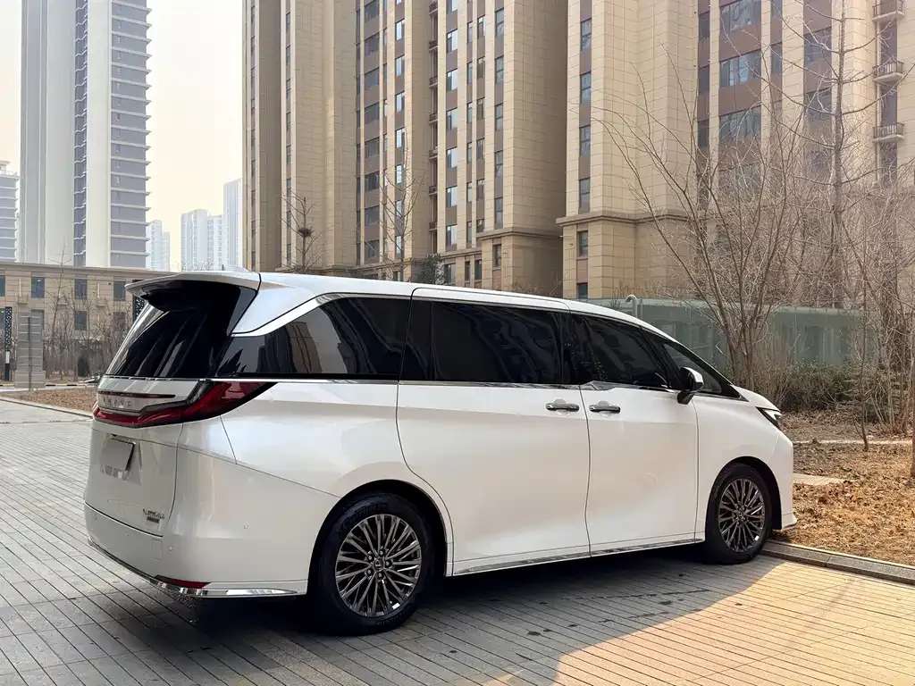 Lexus LM 2024 из CN, фото 8