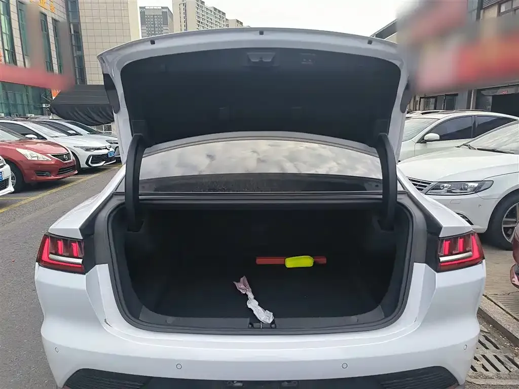 BYD Han 2022 из CN, фото 8