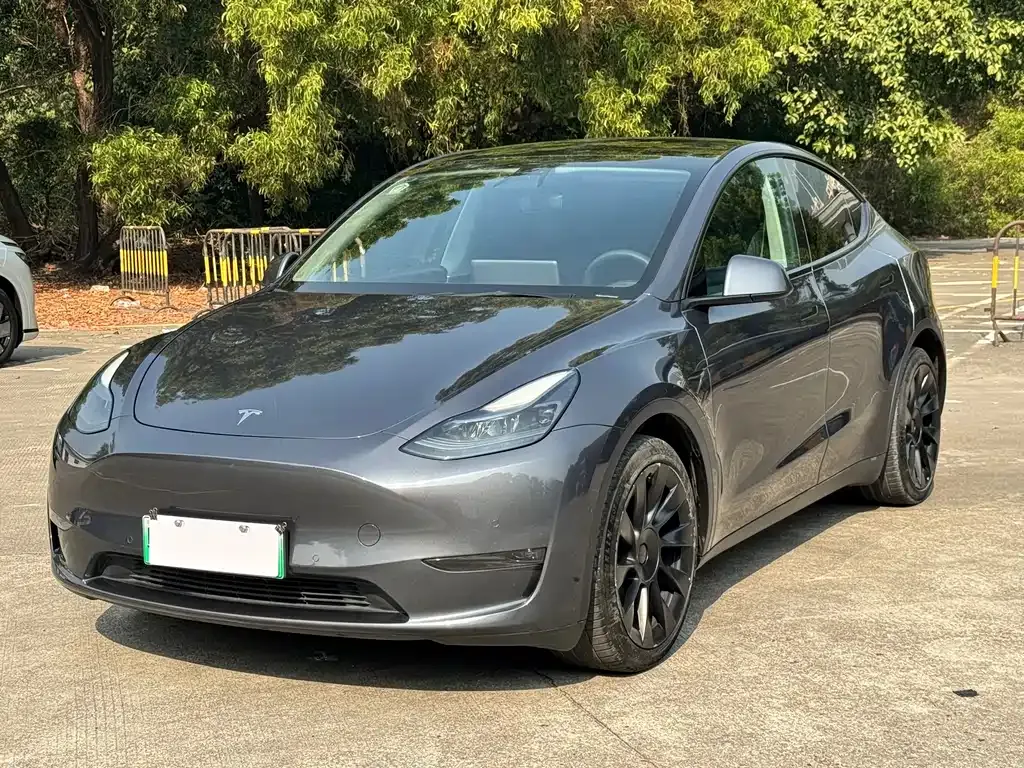 Tesla Model Y 2021 из CN, фото 1
