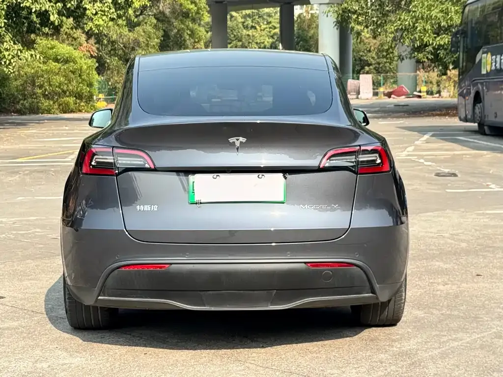 Tesla Model Y 2021 из CN, фото 8