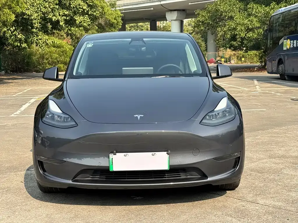 Tesla Model Y 2021 из CN, фото 4