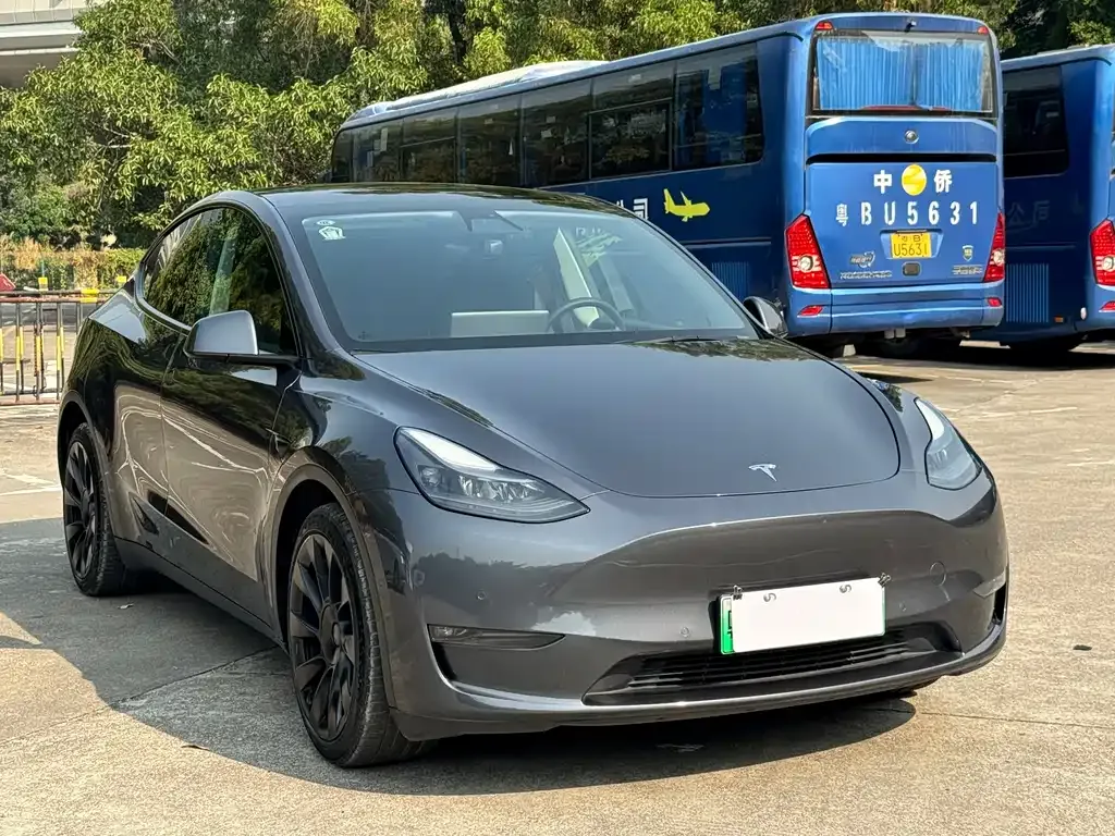 Tesla Model Y 2021 из CN, фото 9