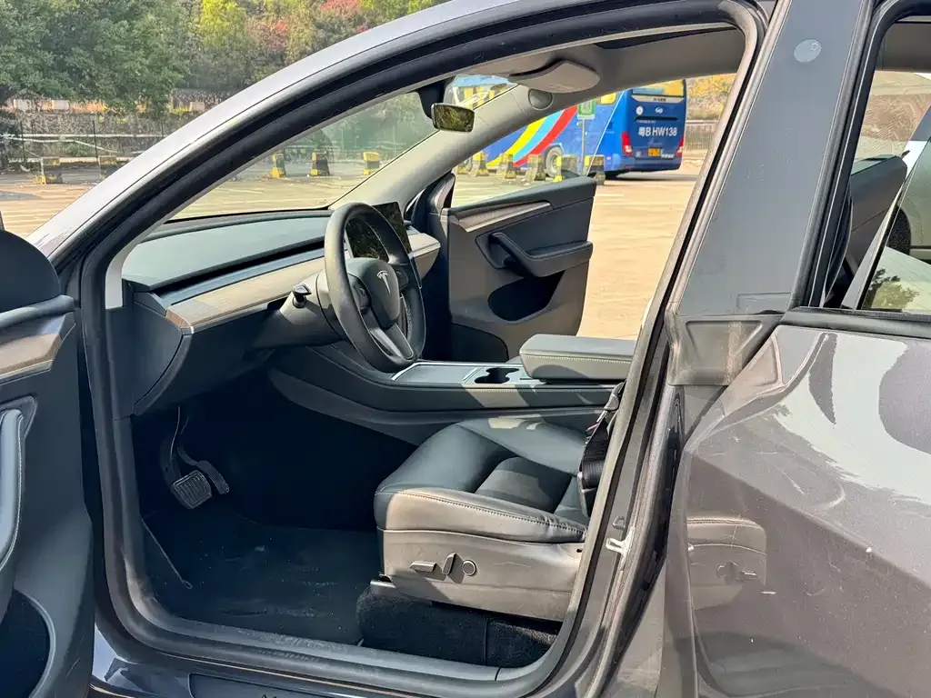 Tesla Model Y 2021 из CN, фото 3