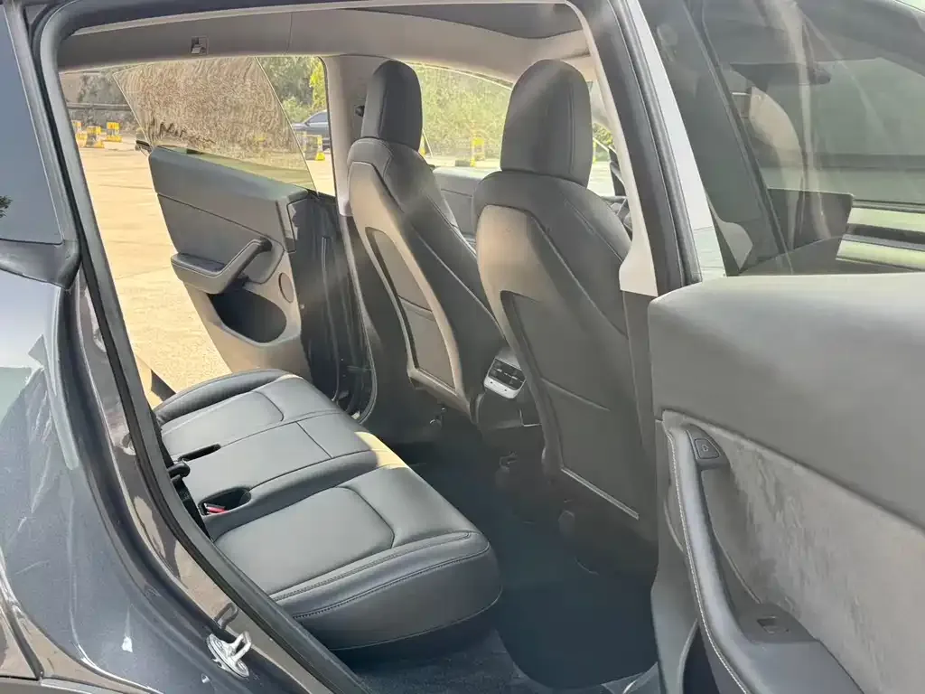 Tesla Model Y 2021 из CN, фото 7