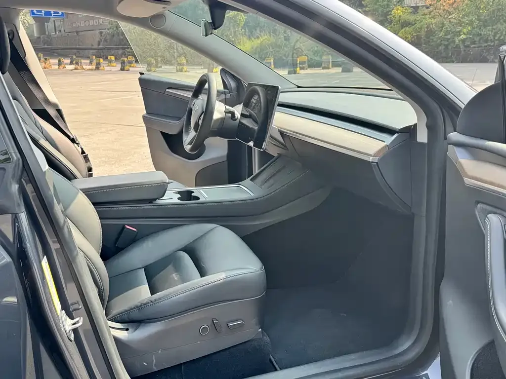 Tesla Model Y 2021 из CN, фото 5
