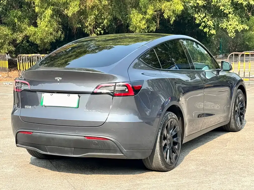 Tesla Model Y 2021 из CN, фото 10