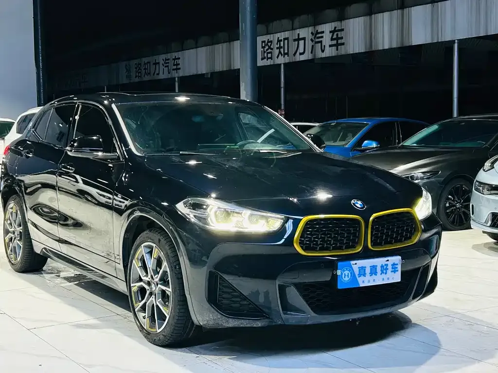 BMW X2 2023 из CN, фото 7
