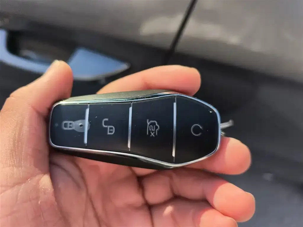 BYD Pro New Energy 2022 из CN, фото 2