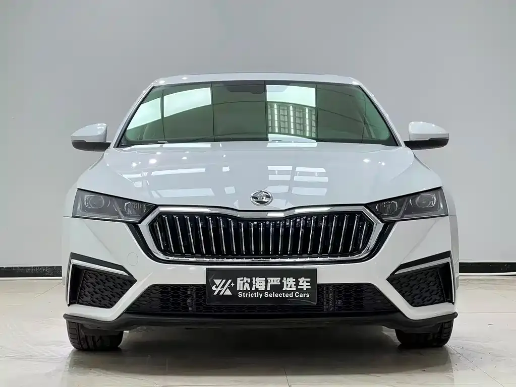 Skoda Octavia 2022 из CN, фото 8