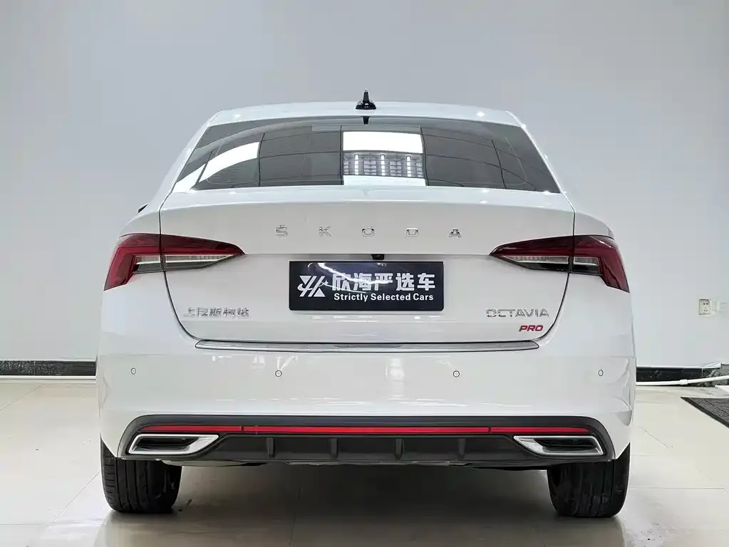 Skoda Octavia 2022 из CN, фото 9