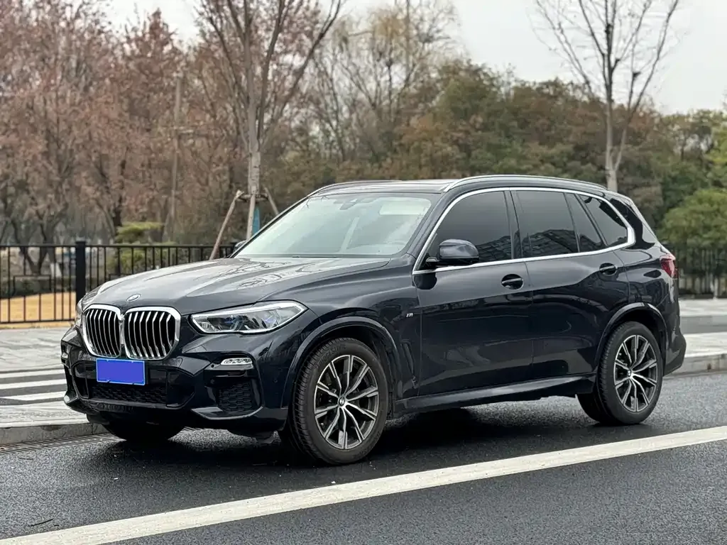 BMW X5 (Import) 2021 из CN, фото 1