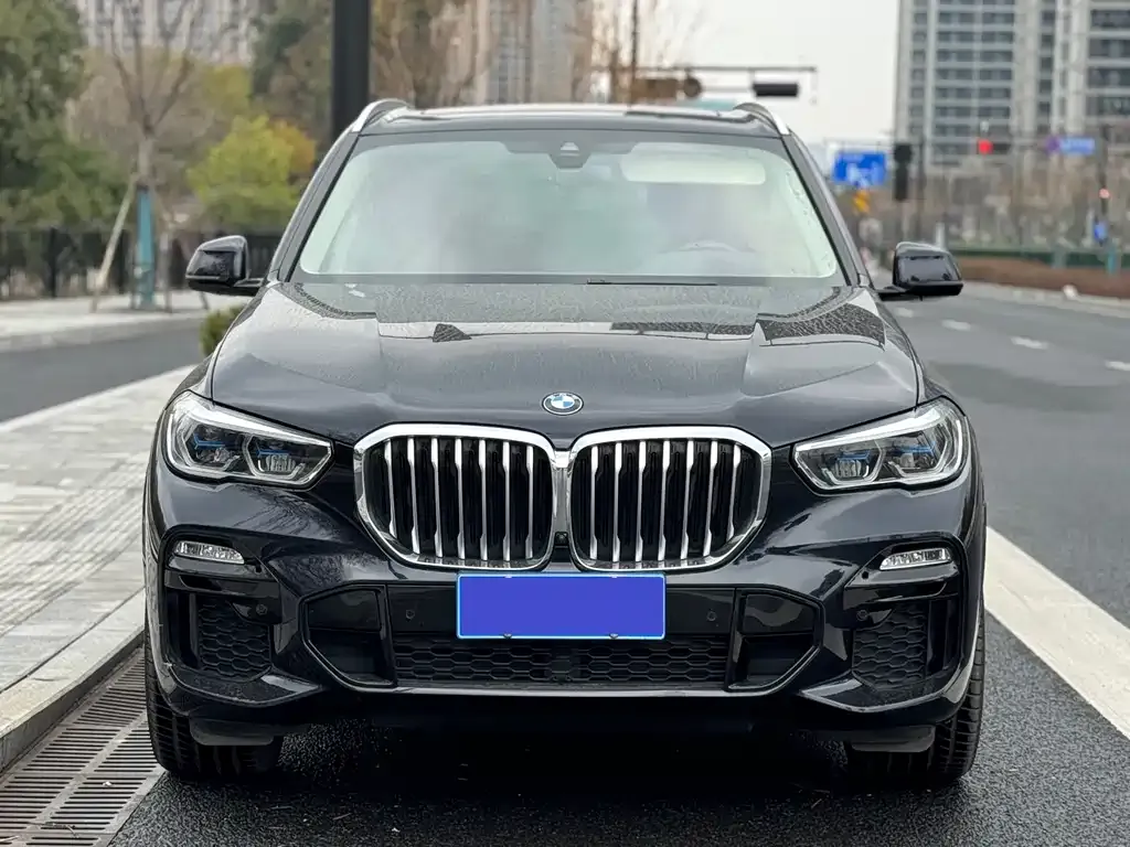 BMW X5 (Import) 2021 из CN, фото 9