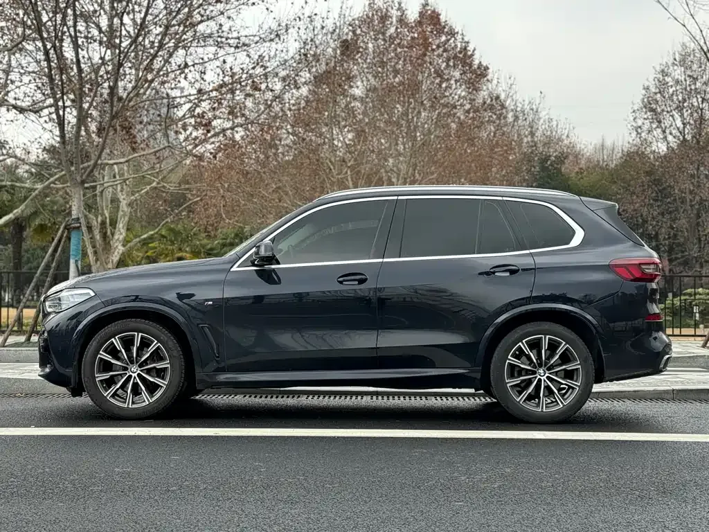 BMW X5 (Import) 2021 из CN, фото 10