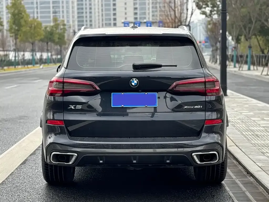BMW X5 (Import) 2021 из CN, фото 8