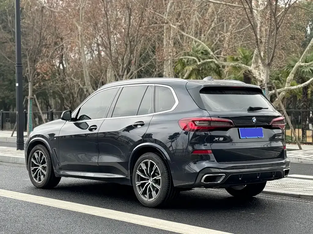 BMW X5 (Import) 2021 из CN, фото 5