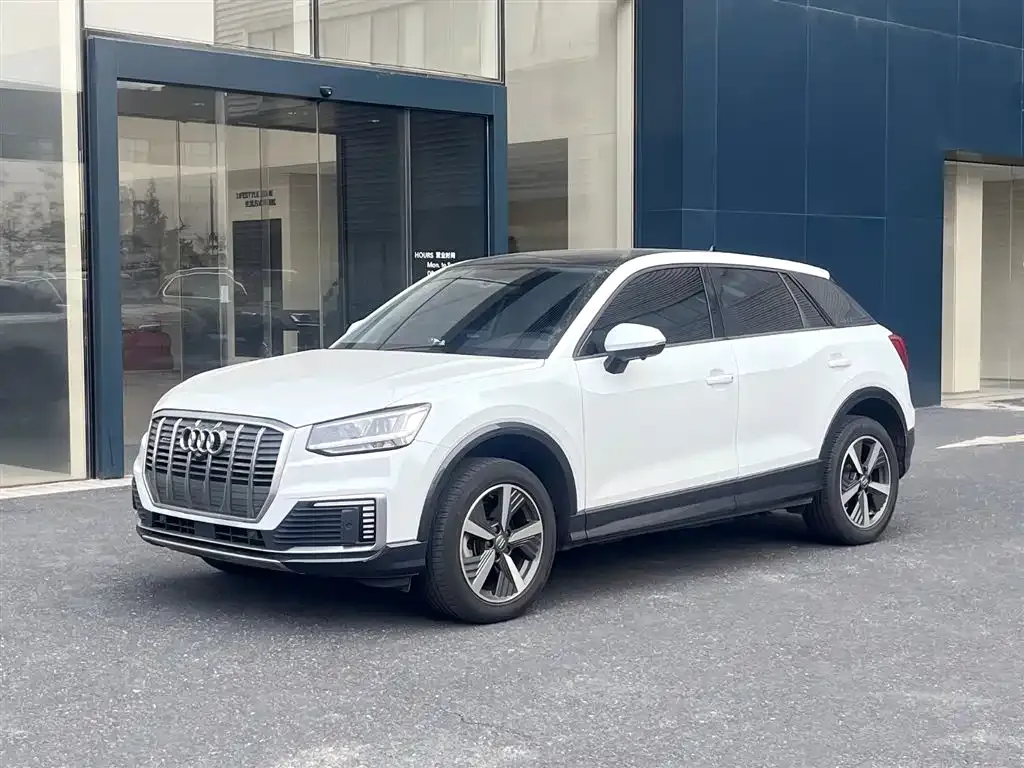 Audi Q2L e-tron 2021 из CN, фото 1