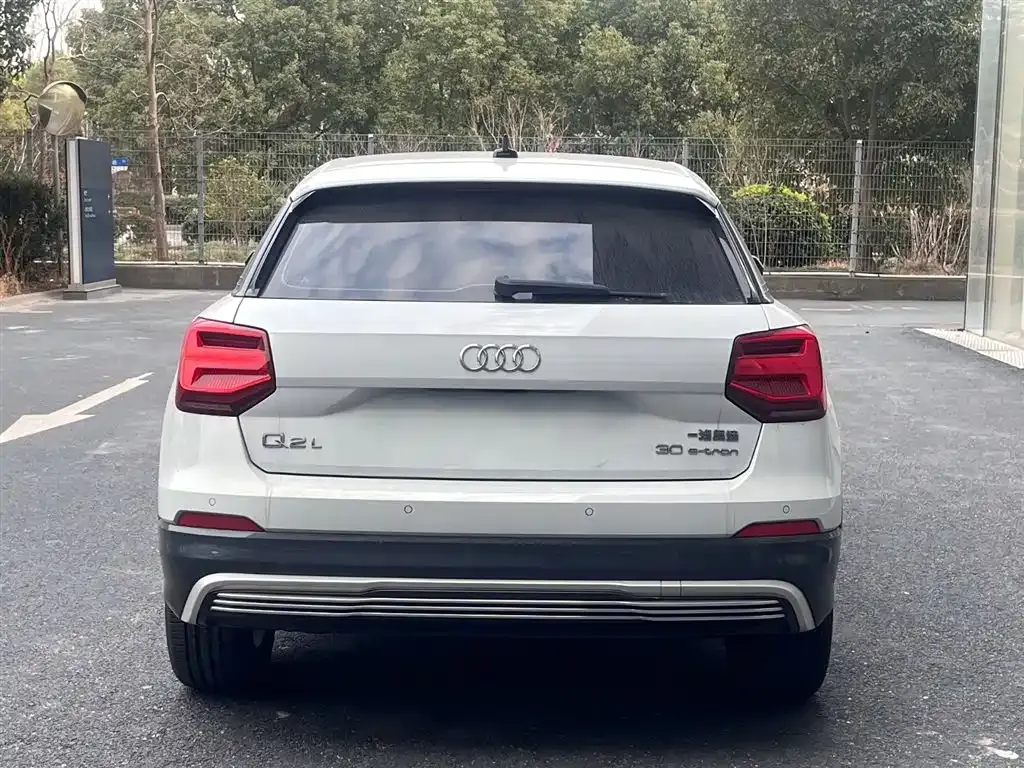 Audi Q2L e-tron 2021 из CN, фото 10