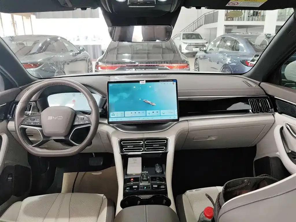BYD PLUS New Energy 2025 из CN, фото 8