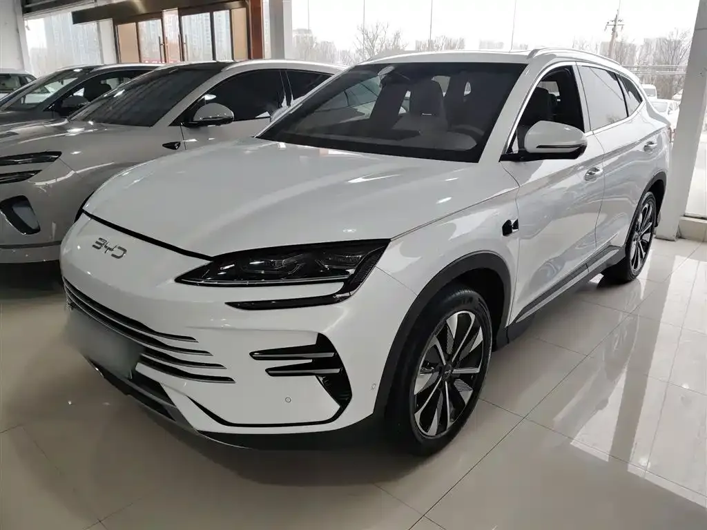 BYD PLUS New Energy 2025 из CN, фото 7