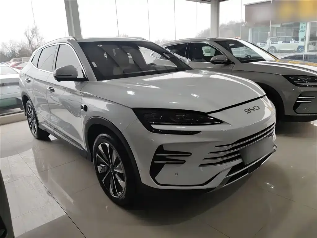 BYD PLUS New Energy 2025 из CN, фото 5