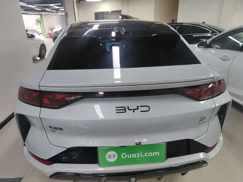 BYD L EV 2025 из CN, фото 4
