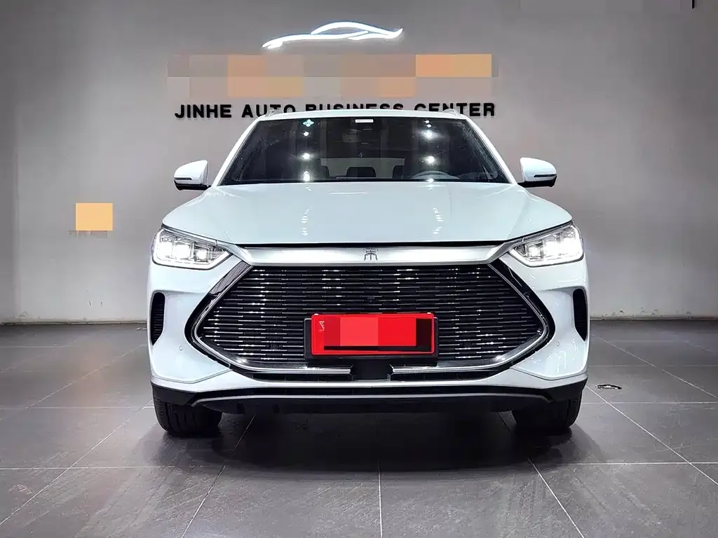 BYD PLUS New Energy — фото 3