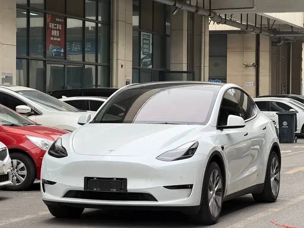 Tesla Model Y 2021 из CN, фото 1
