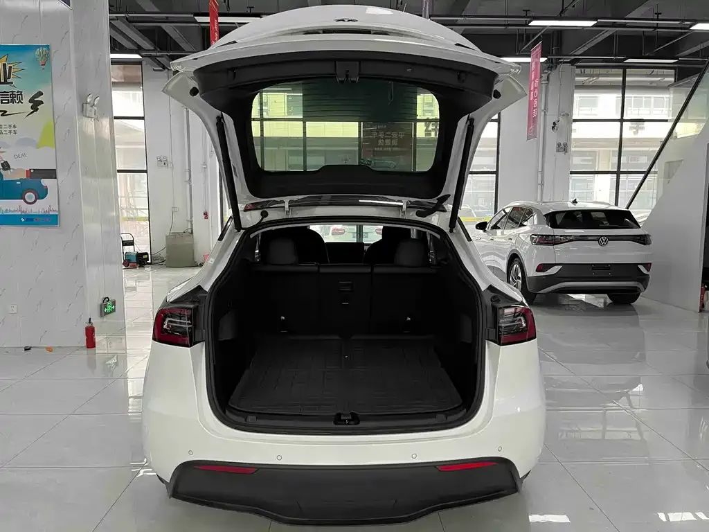 Tesla Model Y 2021 из CN, фото 3