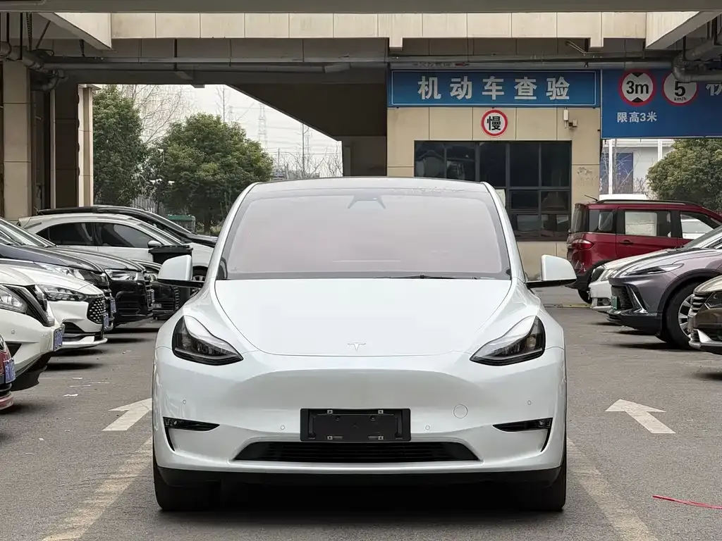 Tesla Model Y 2021 из CN, фото 9