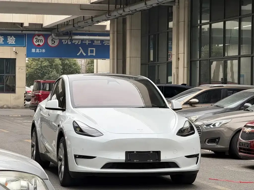 Tesla Model Y 2021 из CN, фото 10