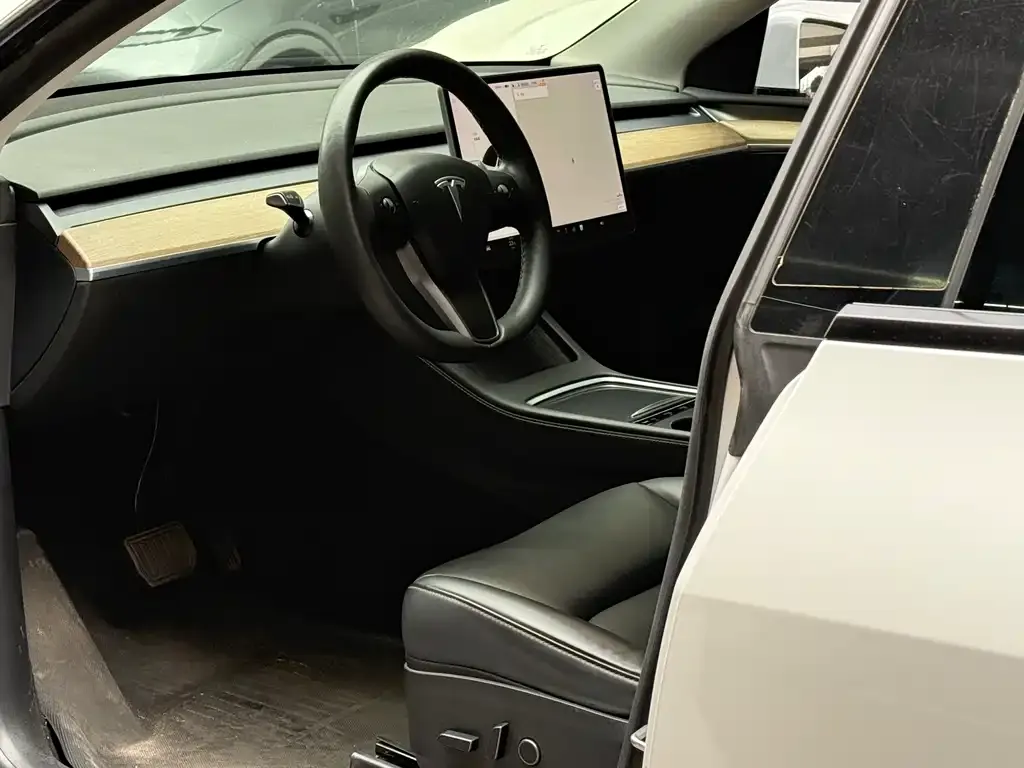 Tesla Model Y 2021 из CN, фото 8