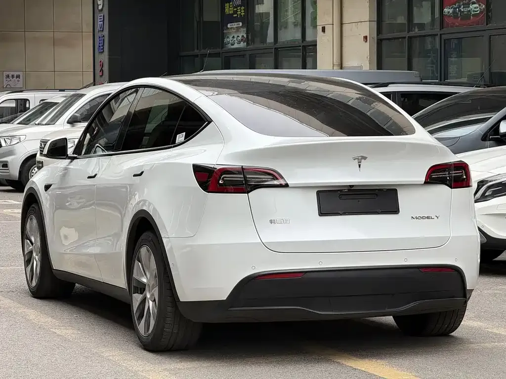 Tesla Model Y 2021 из CN, фото 2