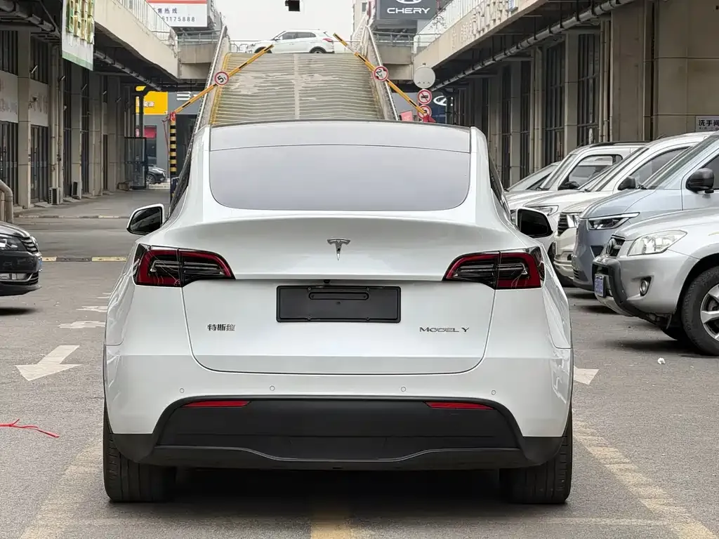 Tesla Model Y 2021 из CN, фото 6