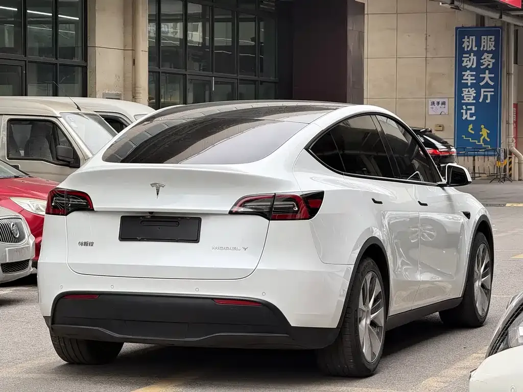 Tesla Model Y 2021 из CN, фото 5
