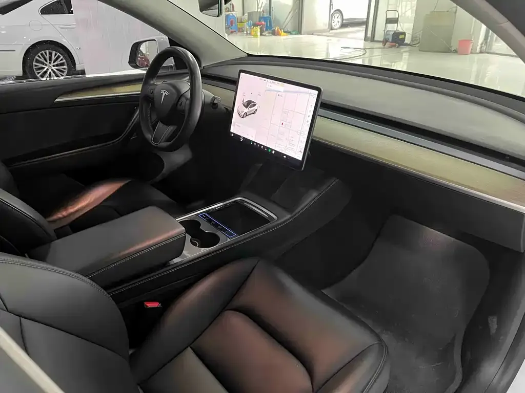 Tesla Model Y 2021 из CN, фото 4