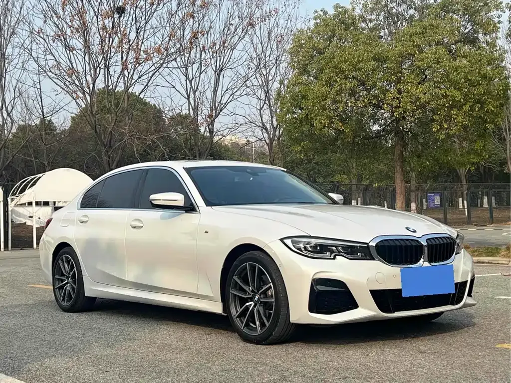 BMW 3 Series 2021 из CN, фото 3