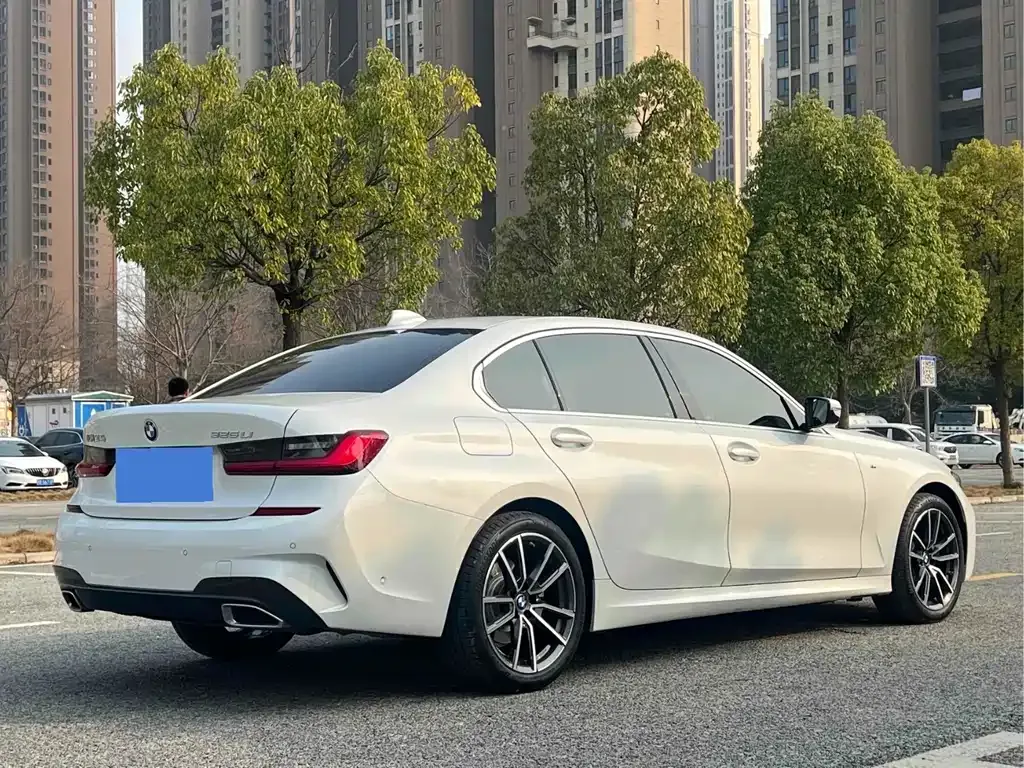 BMW 3 Series 2021 из CN, фото 8