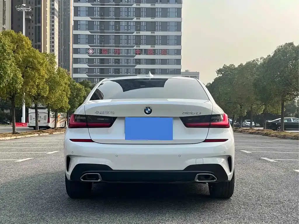 BMW 3 Series 2021 из CN, фото 6
