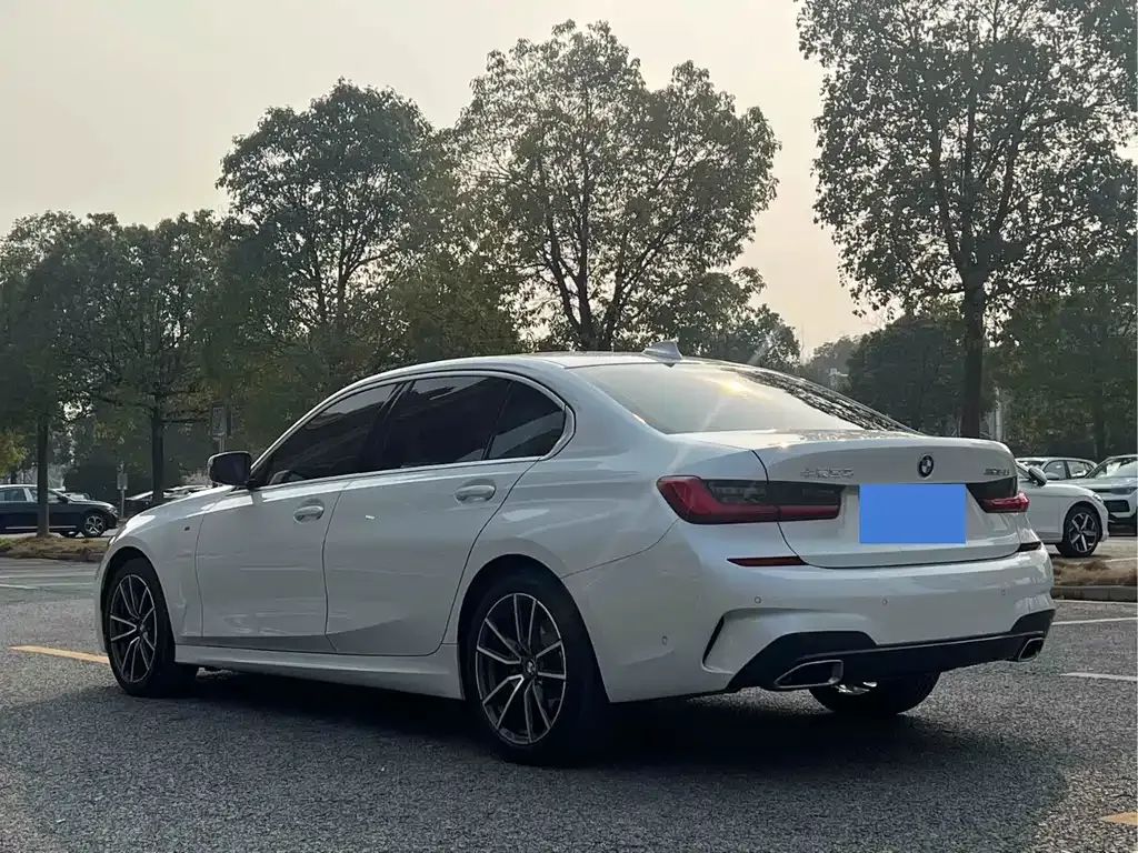 BMW 3 Series 2021 из CN, фото 5