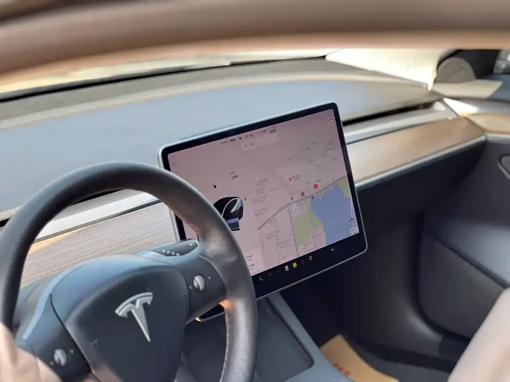 Tesla Model 3 2021 из CN, фото 2