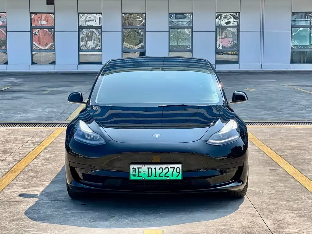 Tesla Model 3 2021 из CN, фото 8