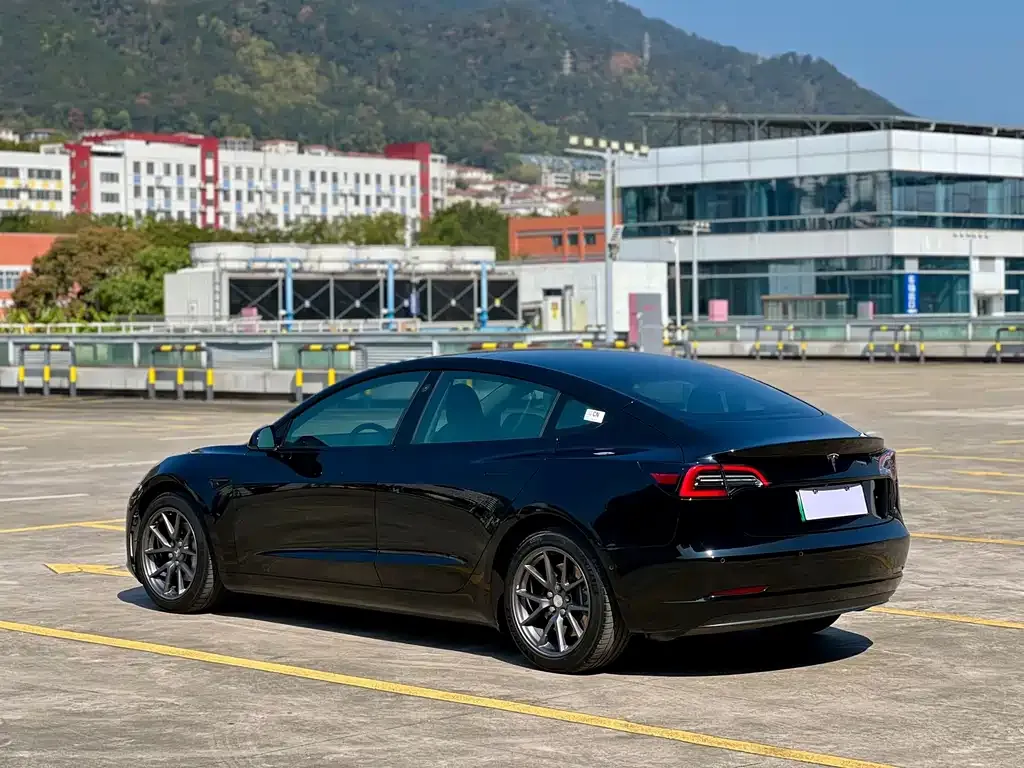 Tesla Model 3 2021 из CN, фото 6