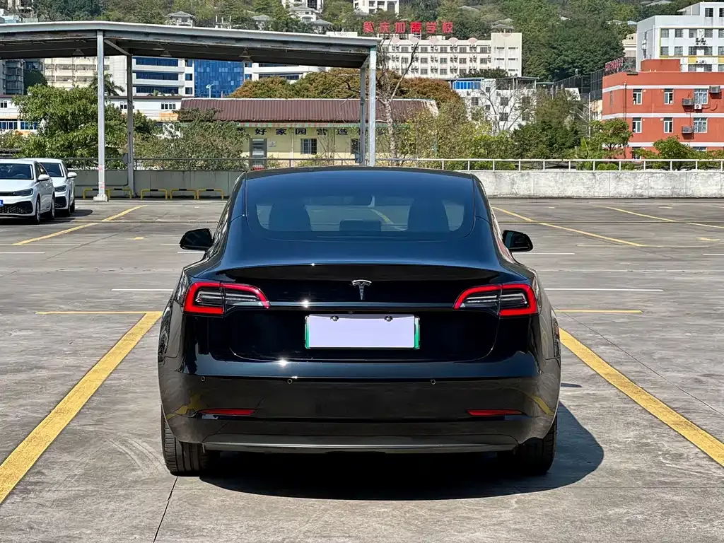 Tesla Model 3 2021 из CN, фото 3